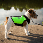 Hunde Neoprenanzug 3mm